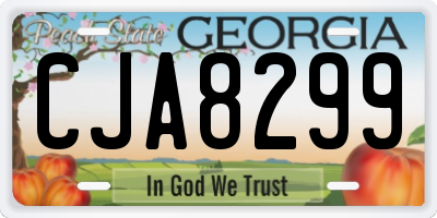 GA license plate CJA8299