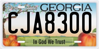 GA license plate CJA8300