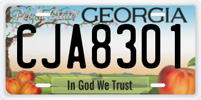 GA license plate CJA8301