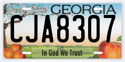 GA license plate CJA8307
