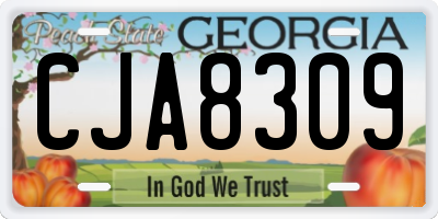 GA license plate CJA8309