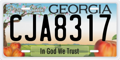 GA license plate CJA8317
