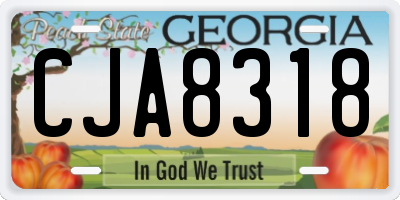 GA license plate CJA8318