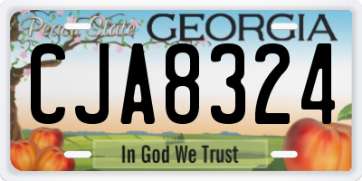 GA license plate CJA8324