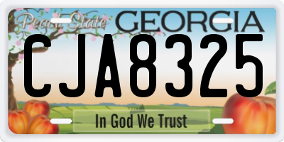 GA license plate CJA8325