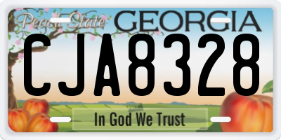 GA license plate CJA8328