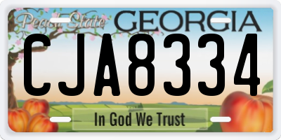 GA license plate CJA8334