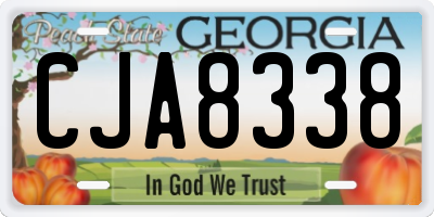 GA license plate CJA8338