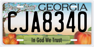 GA license plate CJA8340
