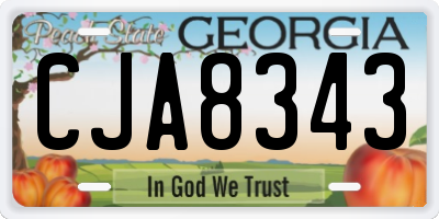 GA license plate CJA8343