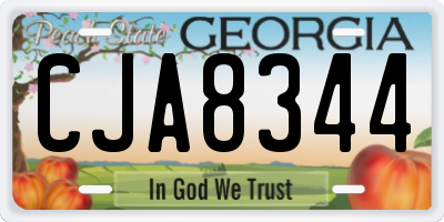 GA license plate CJA8344