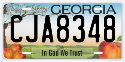 GA license plate CJA8348