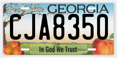 GA license plate CJA8350