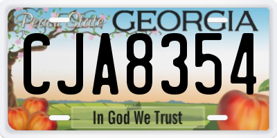 GA license plate CJA8354