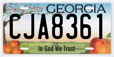 GA license plate CJA8361