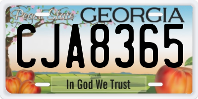 GA license plate CJA8365