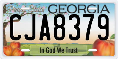 GA license plate CJA8379
