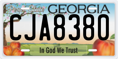 GA license plate CJA8380