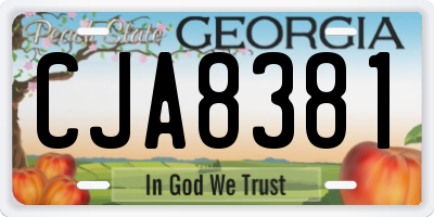 GA license plate CJA8381