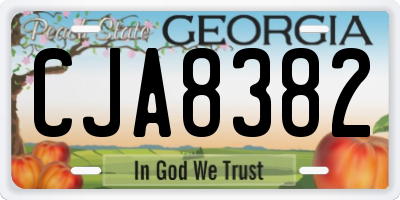 GA license plate CJA8382