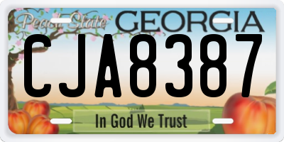 GA license plate CJA8387
