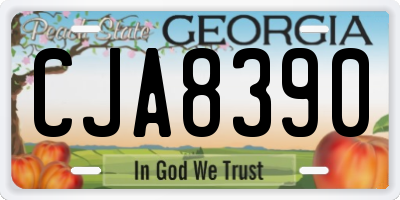 GA license plate CJA8390