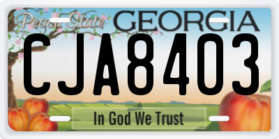 GA license plate CJA8403