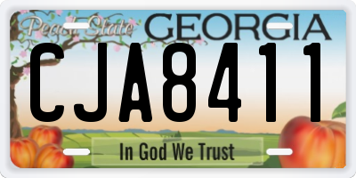GA license plate CJA8411