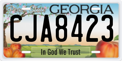 GA license plate CJA8423
