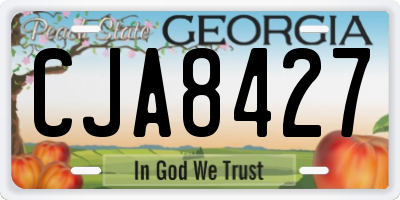 GA license plate CJA8427