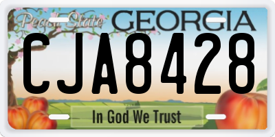 GA license plate CJA8428