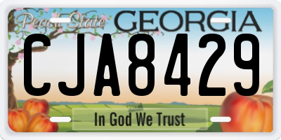 GA license plate CJA8429