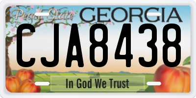 GA license plate CJA8438