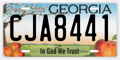 GA license plate CJA8441