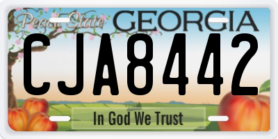 GA license plate CJA8442