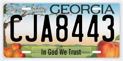 GA license plate CJA8443