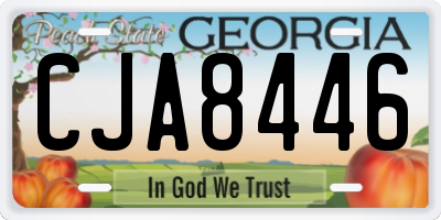 GA license plate CJA8446