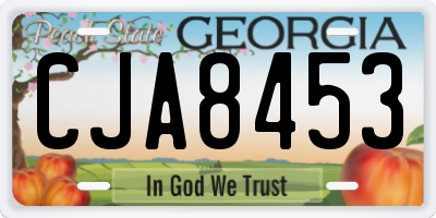 GA license plate CJA8453