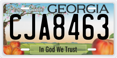 GA license plate CJA8463