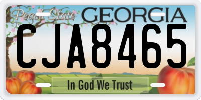 GA license plate CJA8465