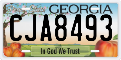 GA license plate CJA8493