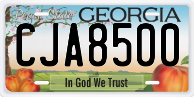 GA license plate CJA8500