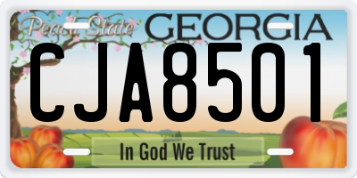 GA license plate CJA8501