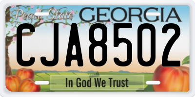 GA license plate CJA8502