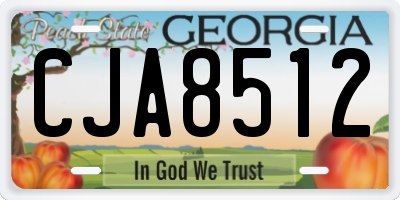 GA license plate CJA8512
