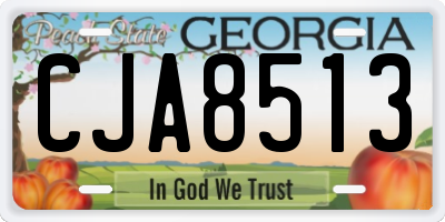 GA license plate CJA8513