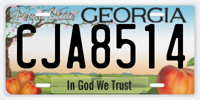 GA license plate CJA8514