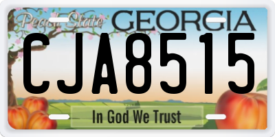 GA license plate CJA8515
