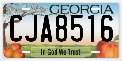 GA license plate CJA8516