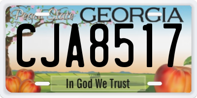 GA license plate CJA8517